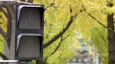 Pedestian trafik ışığı kırmızı ışık