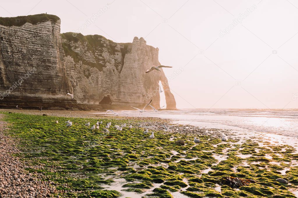 Seagulls fly above natural arch
