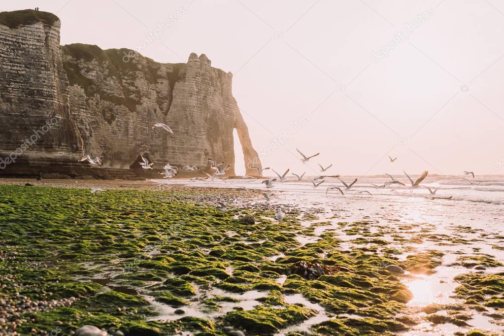 Seagulls fly above natural arch