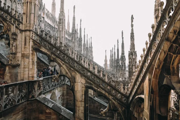 Detaljer För Gotiska Katedralen Milano Italien — Stockfoto