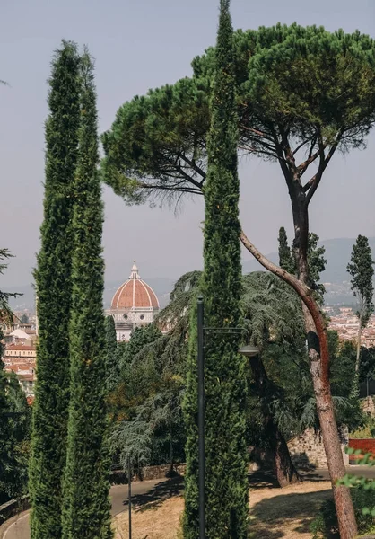 Groene Cipressen Stadsgezicht Van Florence Achtergrond Italië — Stockfoto