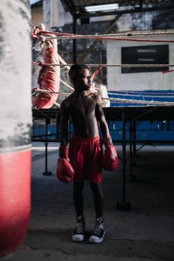 Havana, Küba - 22 Ocak 2017: çocuk ayakta giyen boks eldivenleri