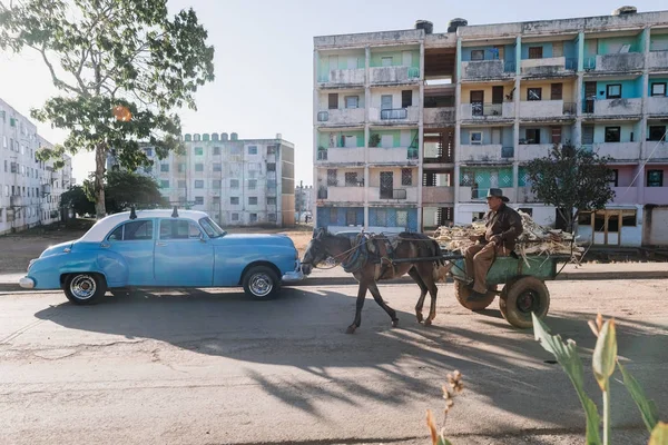 Trinidad Cuba Janvier 2017 Cheval Avec Vieille Charrette — Photo