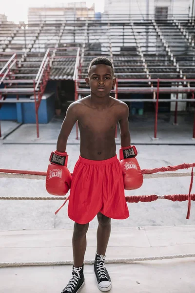 Havana, Küba - 22 Ocak 2017: çocuk ayakta giyen boks eldivenleri