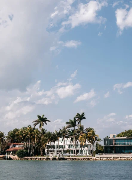 Edifícios Beira Mar Com Palmeiras Miami Eua — Fotografia de Stock