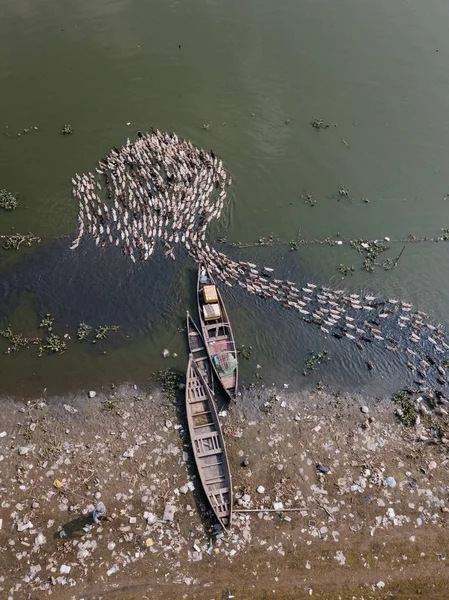 Luftaufnahme Des Flusses Mit Booten Und Enten — Stockfoto