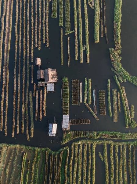 Vue Aérienne Sur Les Jardins Flottants Lac Inle Myanmar Birmanie — Photo