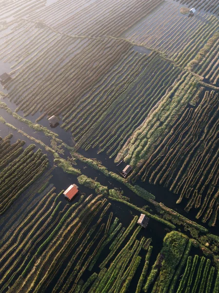 Vista Aérea Sobre Paisaje Agrícola Con Jardines Flotantes — Foto de Stock