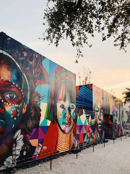 Граффити на стене в районе граффити Уинвуд, Майами, Флорида . — стоковое фото