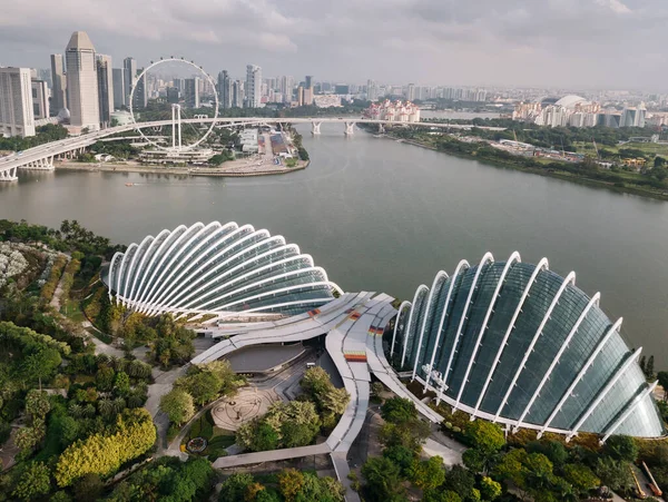 Vue aérienne de Gardens by the Bay à Singapour . — Photo