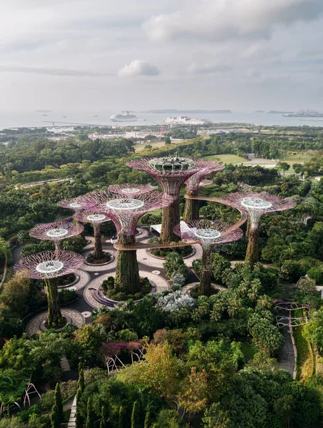 新加坡湾边花园的空中景观. — 图库照片