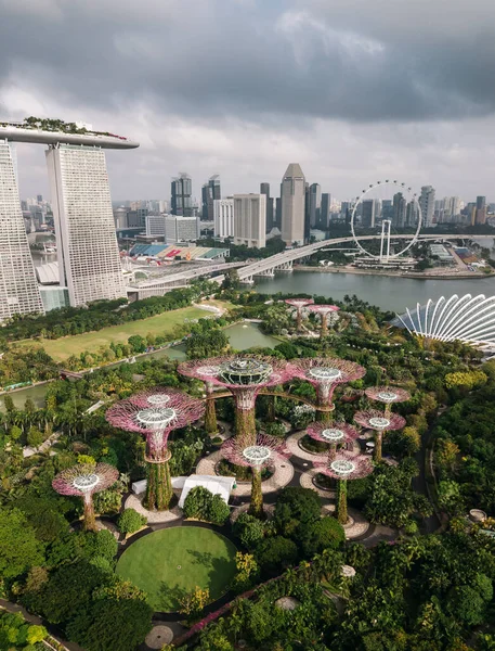 Vue aérienne de Gardens by the Bay à Singapour . — Photo