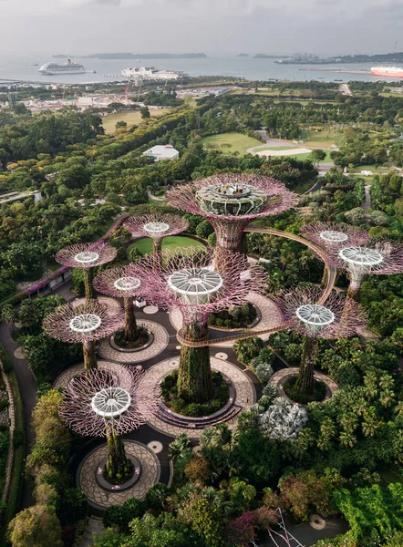 Luchtfoto van Gardens by the Bay in Singapore. — Stockfoto
