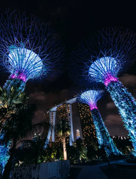 Gärten an der Bucht in der Abenddämmerung in Singapur — Stockfoto