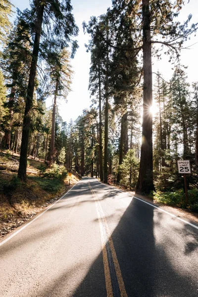 Road in Sequoia Nemzeti Park, Kalifornia, USA — Stock Fotó