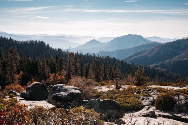 Sequoia Ulusal Parkı, Kaliforniya, ABD 'de sekoya ağaçlarının üzerinde gün batımı Stok Resim