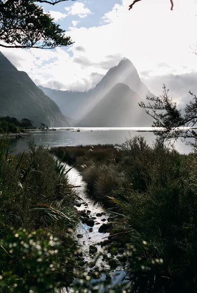 Пролив Милфорд в Новой Зеландии — стоковое фото