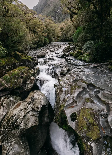 Milford Sound na Nova Zelândia — Fotografia de Stock