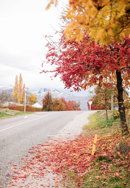 Arrowtown, Nuova Zelanda — Foto Stock