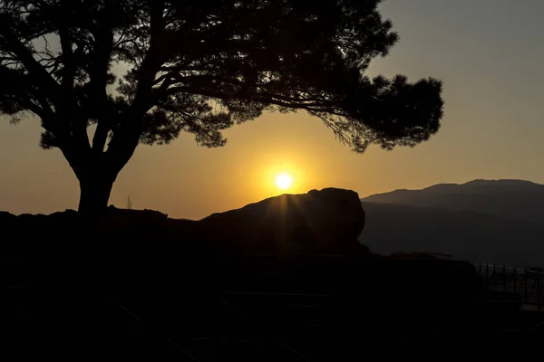 Gün batımında yalnız ağacı — Stok fotoğraf