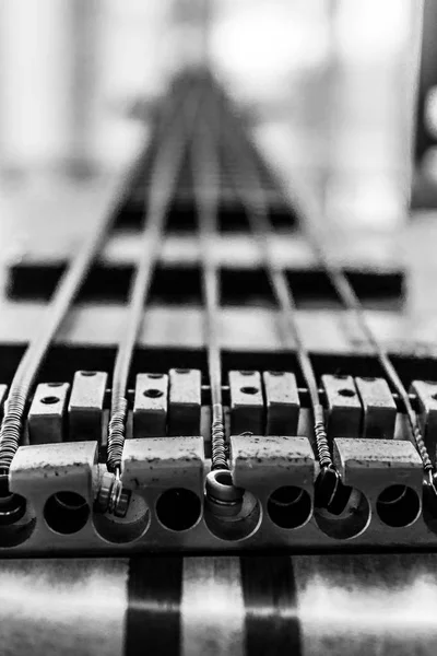 Cordas - Linhas musicais — Fotografia de Stock