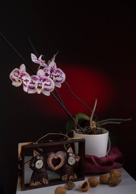 Orkide çiçek ve yaratıcı kırmızı spot aydınlatma ile siyah arka plan üzerine dekoratif objeler ile natürmort