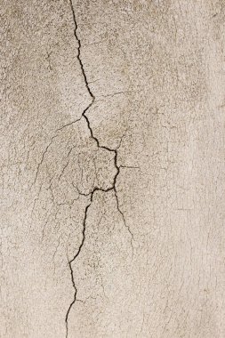 Kemikteki çatlak yakın çekim fotoğraf 