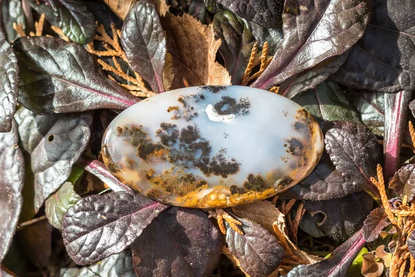 Macro Fotografía Cerca Piedra Gema Natural Musgo Ágata Acostado Las —  Fotos de Stock