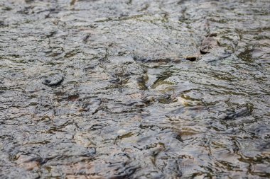 Sığ nehirde temiz su. Dipteki taşlar suyun içinden görülebilir..