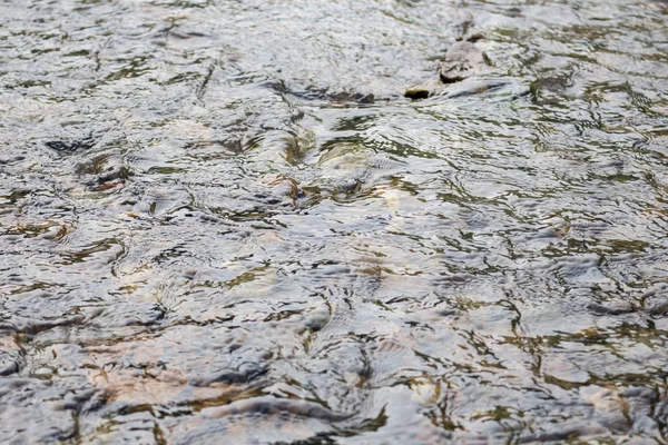 Sığ nehirde temiz su. Dipteki taşlar suyun içinden görülebilir..