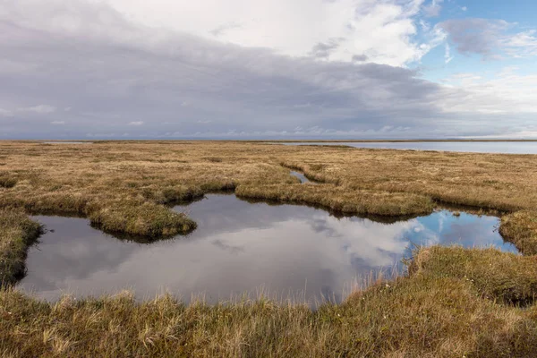 Landschap van zomertoendra, meren, moerassen, gras, bewolkte dag, blauwe lucht — Stockfoto