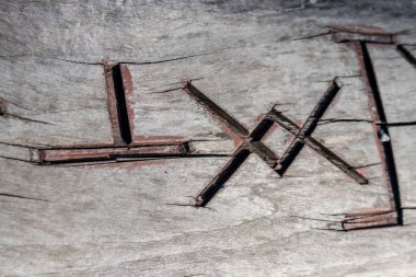 Slav pagan esrarengiz sembolleri (runik işaretler), yanık izleri olan bir ağaca oyulmuştur..