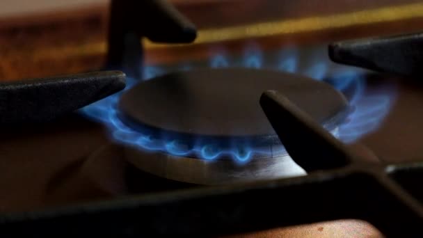 ガス炊飯器ガス バーナーの青い炎 — ストック動画