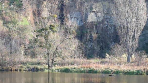 Roca Árboles Desnudos Orilla Del Río Southern Bug Ucrania Vinnitsa — Vídeos de Stock