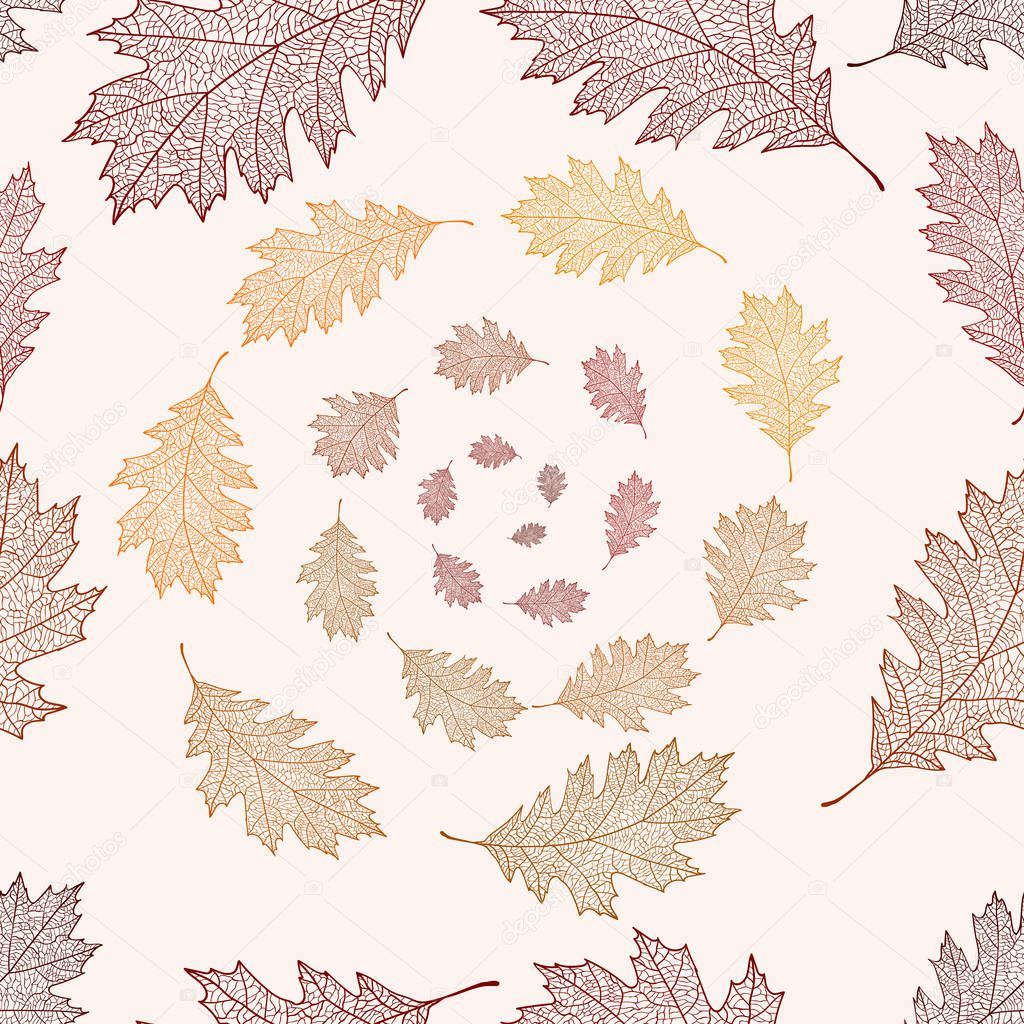 Seamless pattern from the leaves of red oak arranged in a helix (Quercus rubra)