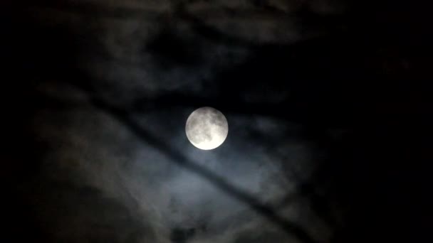 Black Clouds Run Night Sky Background Cold Moon — Stock Video