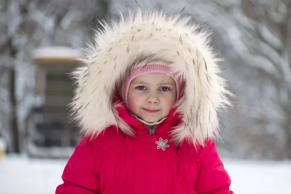 Маленькая Милая Девочка Большом Меховом Капюшоне Зимой — стоковое фото