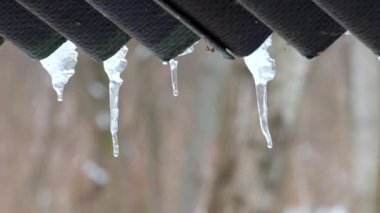 Çatı altında asılı buz sarkıtları üzerinden su damla damla