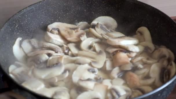 Champignon Champignons Zijn Gebakken Een Koekenpan — Stockvideo