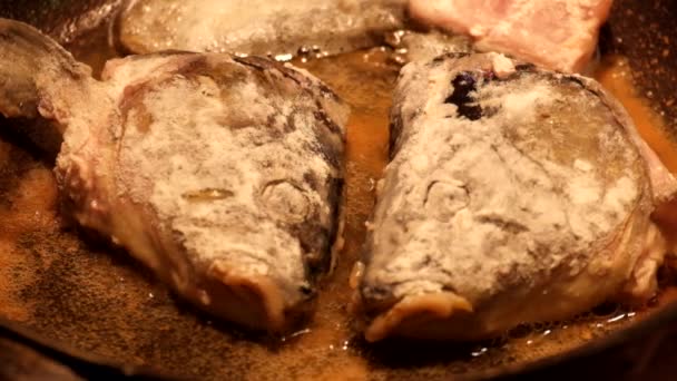 小麦粉パン粉魚の頭をフライパンで油で揚げてください — ストック動画