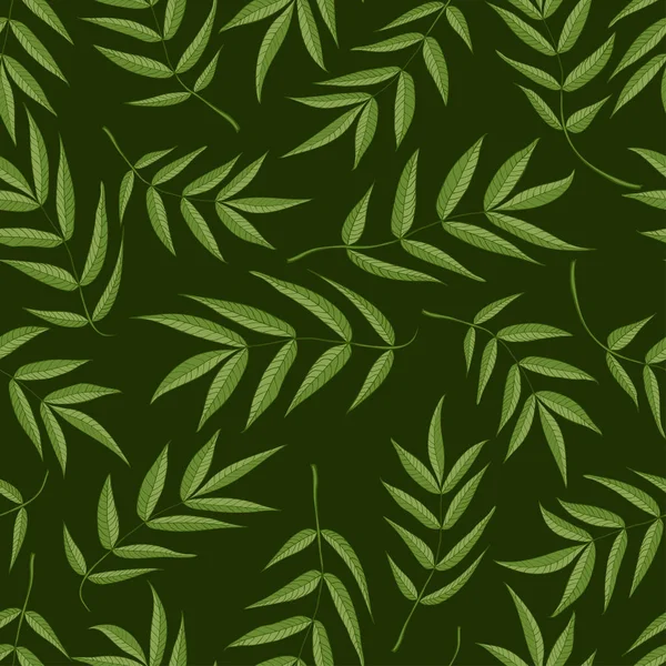 Безшовний Візерунок Зеленого Листя Гірського Попелу Темно Зеленому Тлі — стоковий вектор
