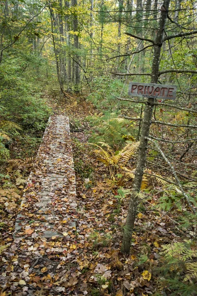 Lane su una bella foresta — Foto Stock