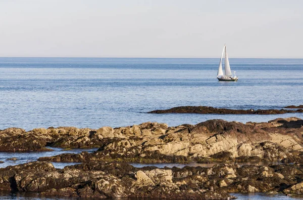 Navegar cerca de la costa del océano Atlántico en Maine, EE.UU. —  Fotos de Stock