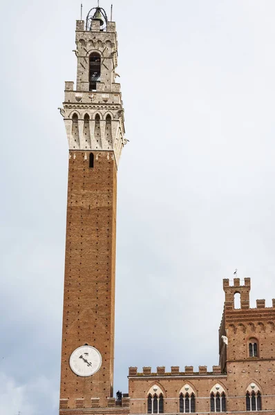 Věž z Palazzo Pubblico v Sieně — Stock fotografie