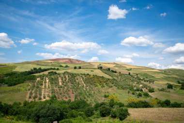 Basilicata bölgesinde ilkbaharda İtalyan manzarası.