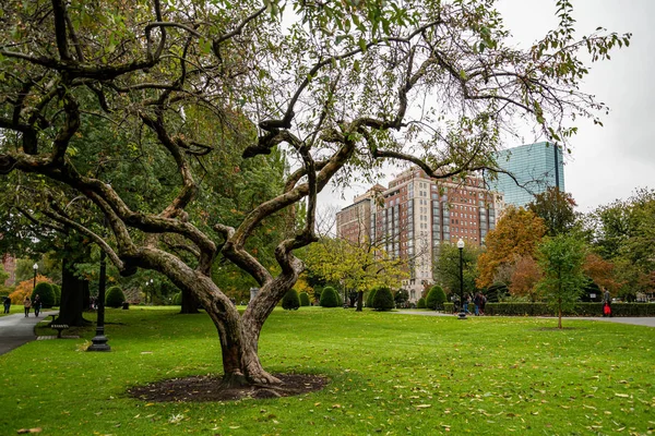 Boston Common 'da. Boston Common, ABD 'deki en eski şehir parkıdır.. — Stok fotoğraf