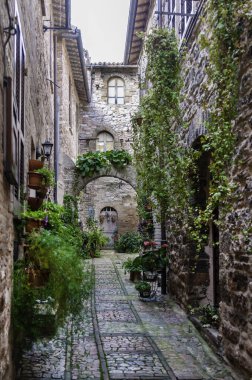 İtalya 'nın Spello şehrinde dar bir sokak.