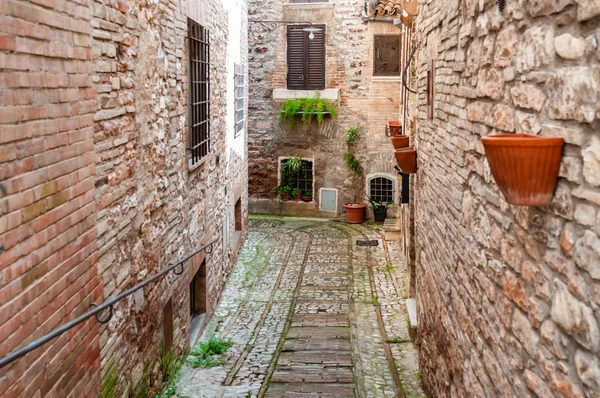 Rue étroite dans la petite ville de Spello, Italie — Photo