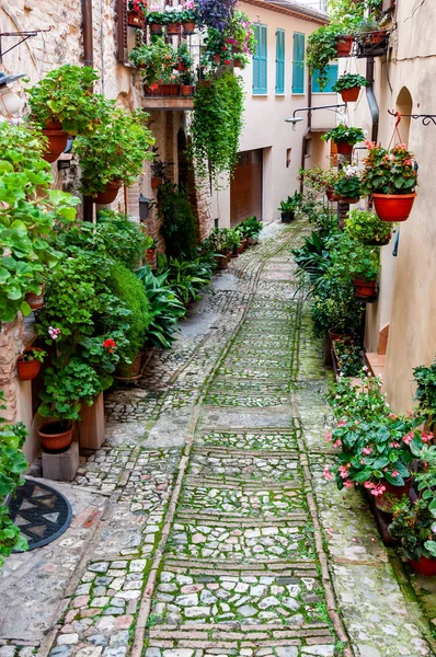 Rue étroite dans la petite ville de Spello, Italie — Photo