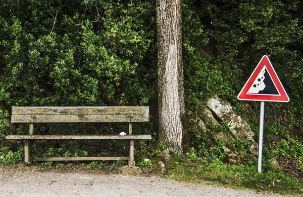 Banc solitaire sous l'arbre couvert dans le Centre de l'Italie . — Photo